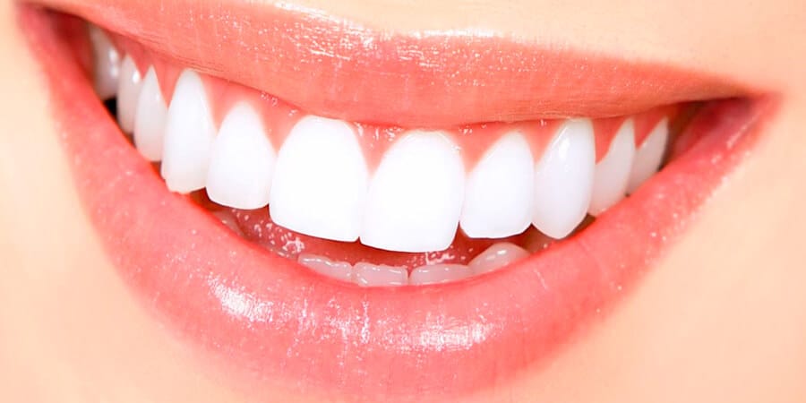En la adultez nuestra boca cuenta con 32 dientes.